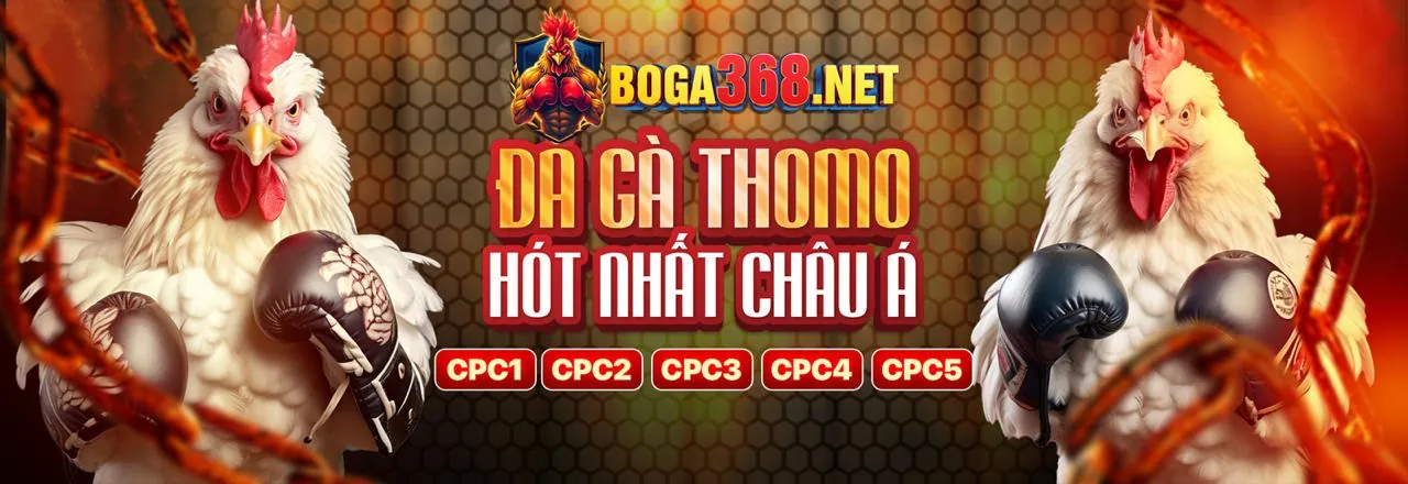 Đá Gà Trực Tuyến Loc88 Hấp Dẫn